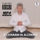 Je Lichaam in Alchemie - Nederlandse HD Download