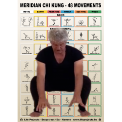 MCK 48 Movements - Poster